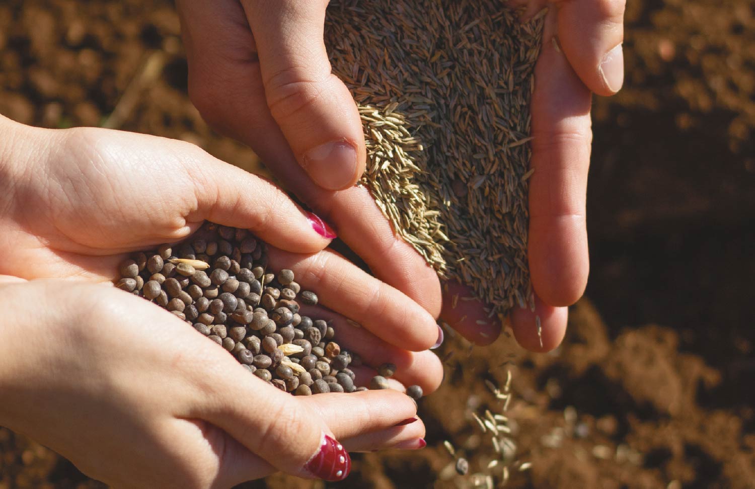 gallery_Tavola disegno 1 copia 10