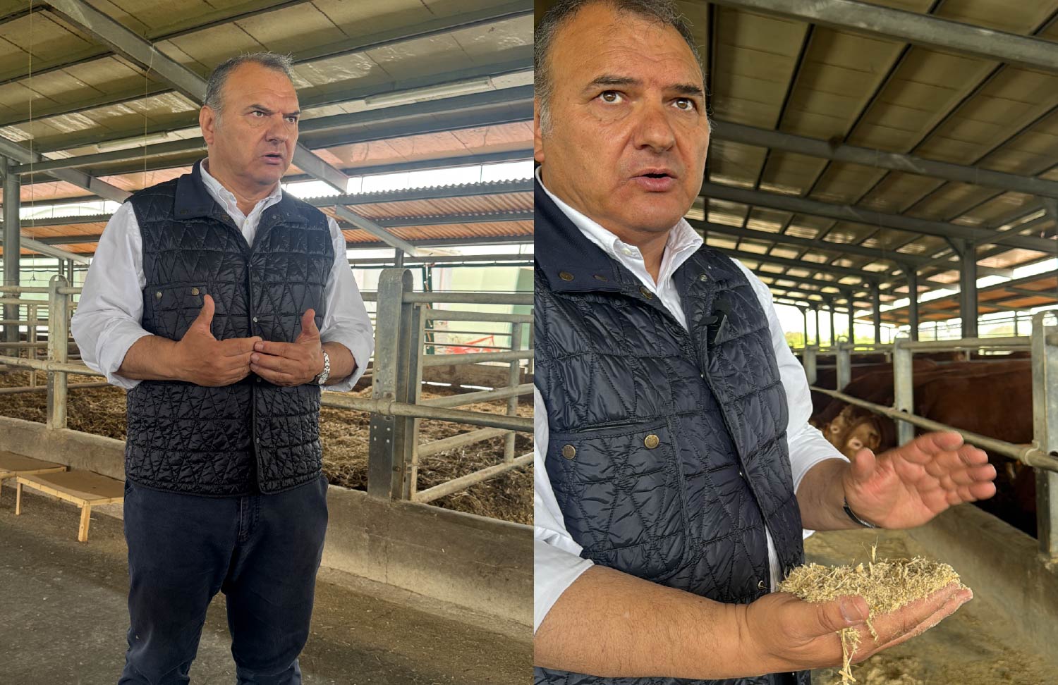 gallery_Tavola disegno 1 copia 11