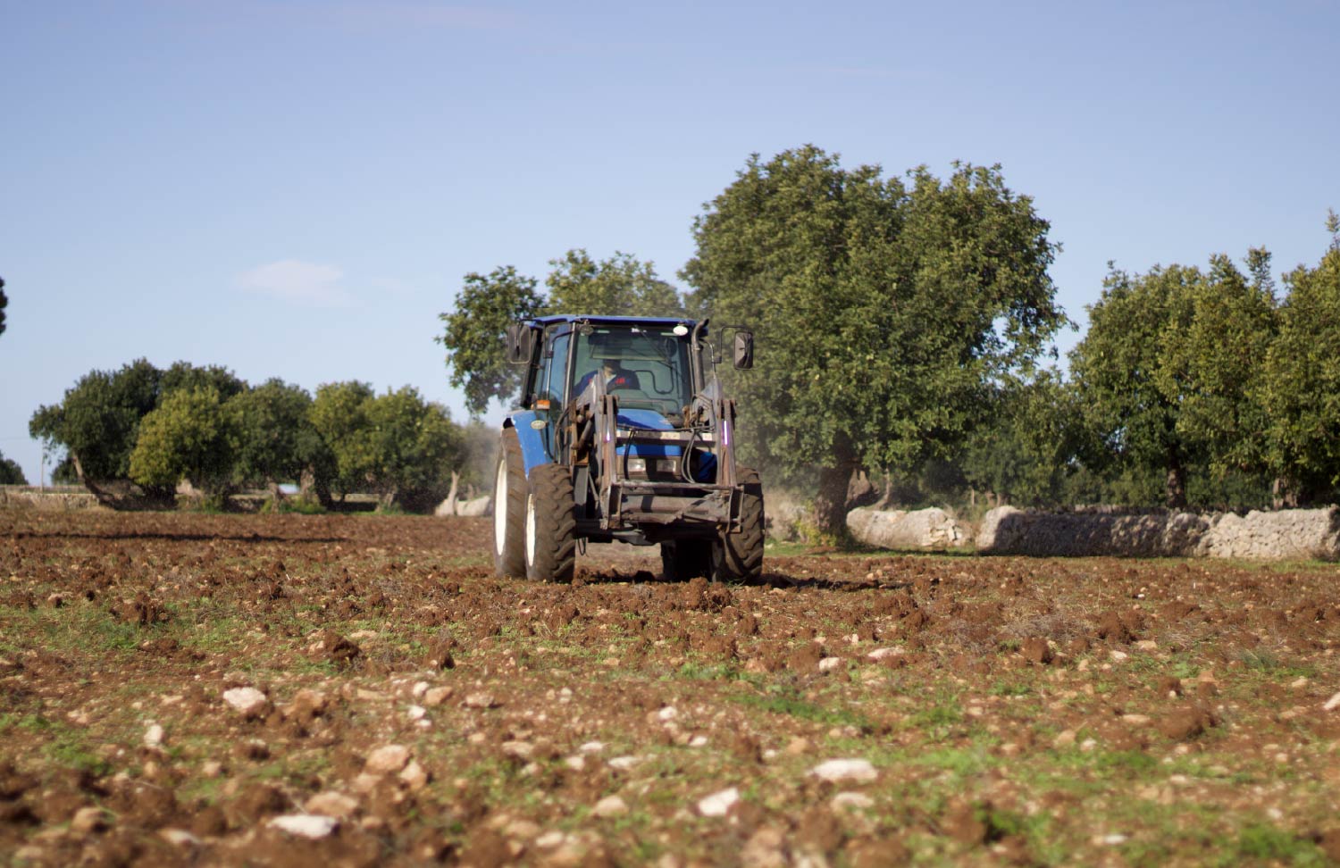 gallery_Tavola disegno 1 copia 8